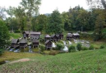 Caution Regarding National Etiquette