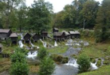 The Bucoleon in the Final Days of Byzantium