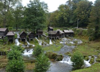 The Bucoleon in the Final Days of Byzantium